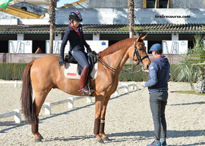 Le Cheval DE Base Incontournable (1)