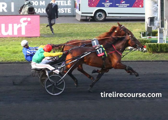 Champion Des Courses (4)