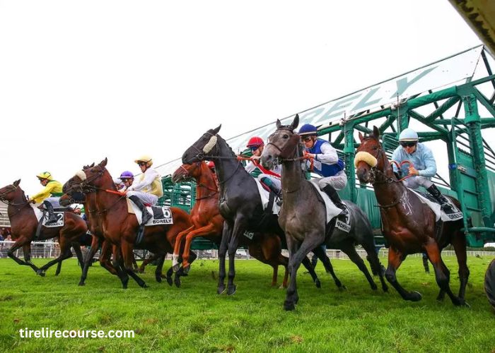 Course en Direct (1)