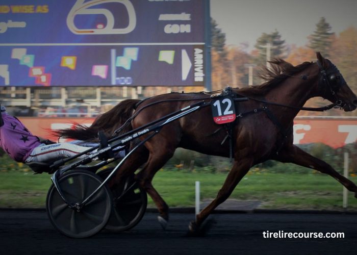 Jephte Turf Accueil (1)