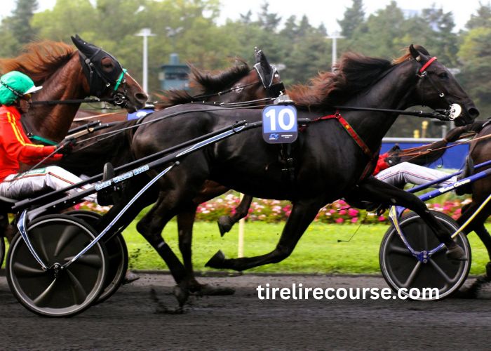 Le Tuyau Coup Sur