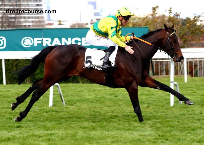 Lebosse Du Turf (1)