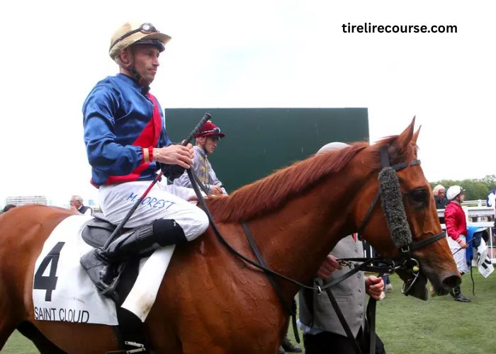 Power Turf Gagnant (2)