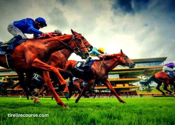 Promo Turf 100 Gratuit (1)
