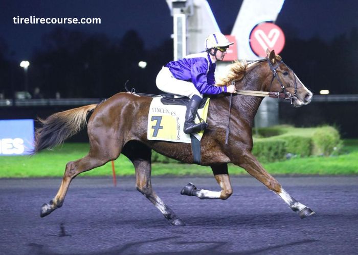 Prono Choc Turf