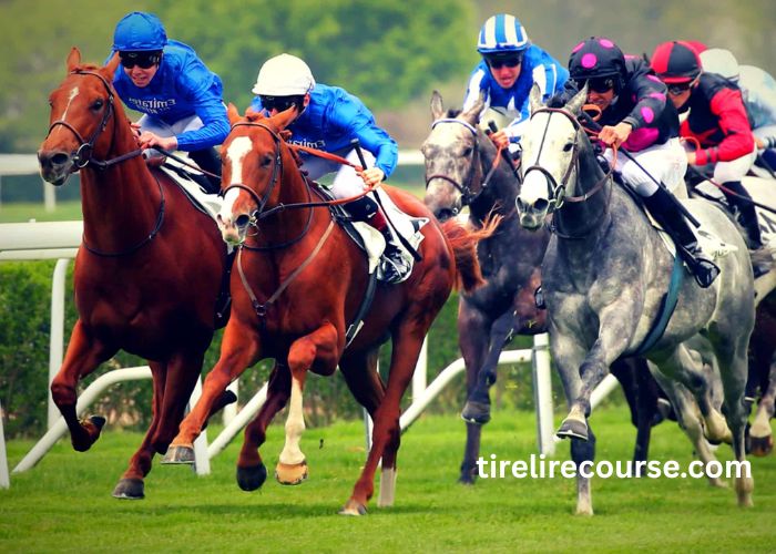 Somboturf Gagnant 1 (2)