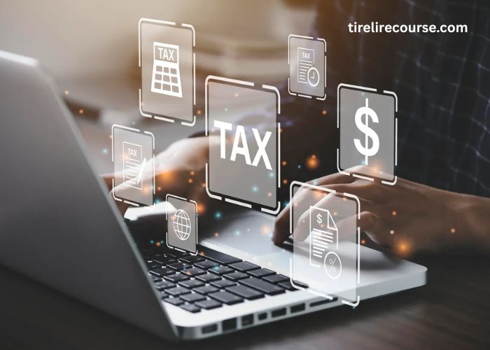 Thuedientu A Complete Guide to Understanding the Digital Tax Platform