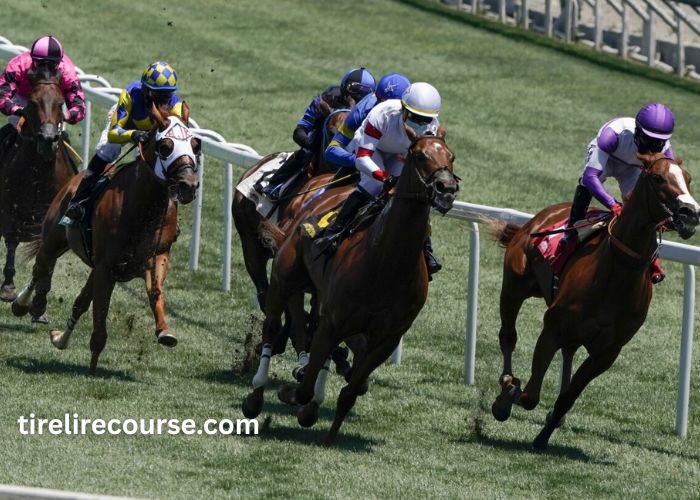 Turf D'or (100+) (4)