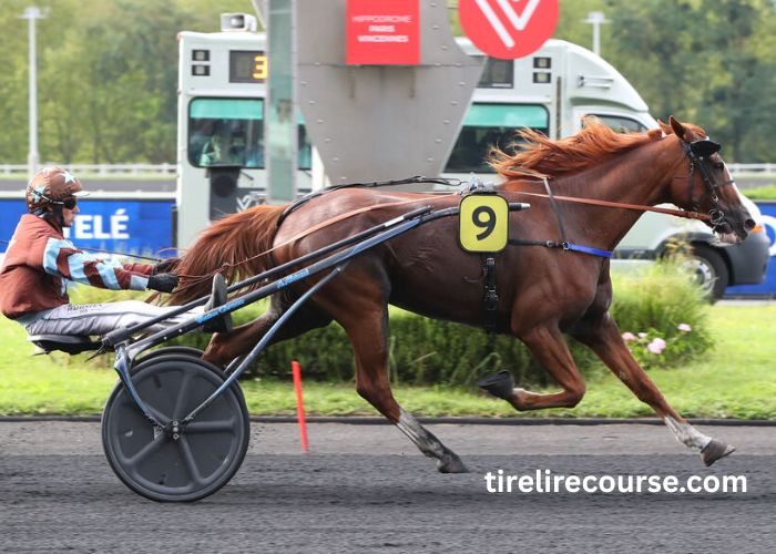 100100 Ordre Turf (4)