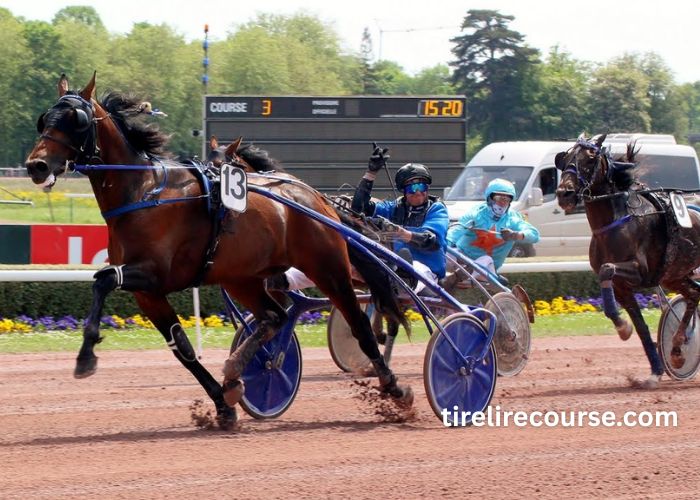 Fortune Turf Vip (3)