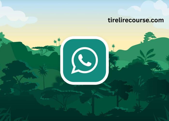 Gb Whatsapp Pro (4)