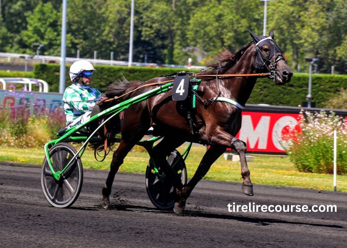 Jolie Turf Gagnant (1)