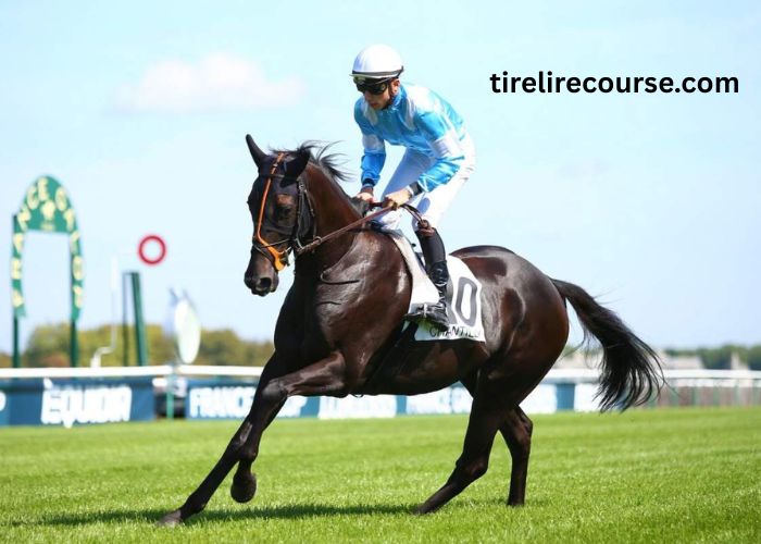 LA Filiere Pmu (2)