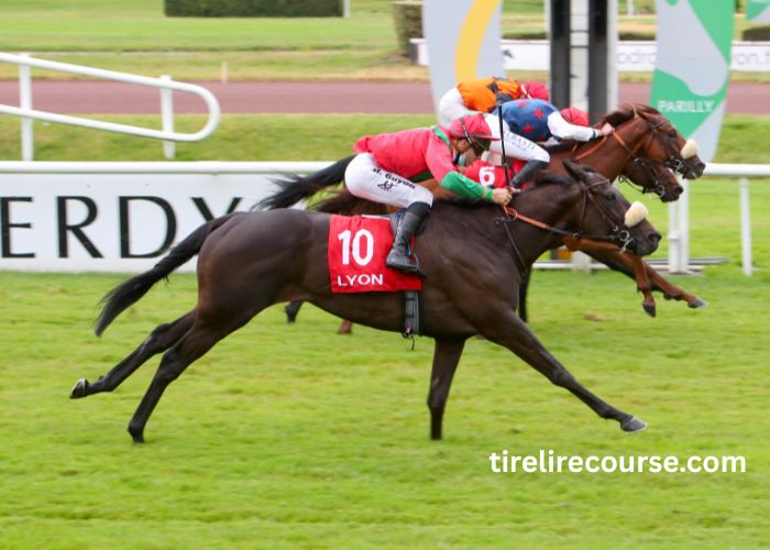 Pronostic Pmu Quinté Du Jour (5)